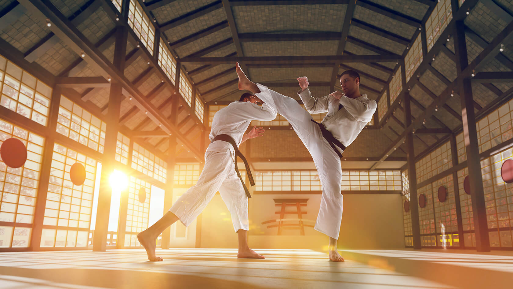 What Is Japanese Karate Called - Self Control - Self Defense