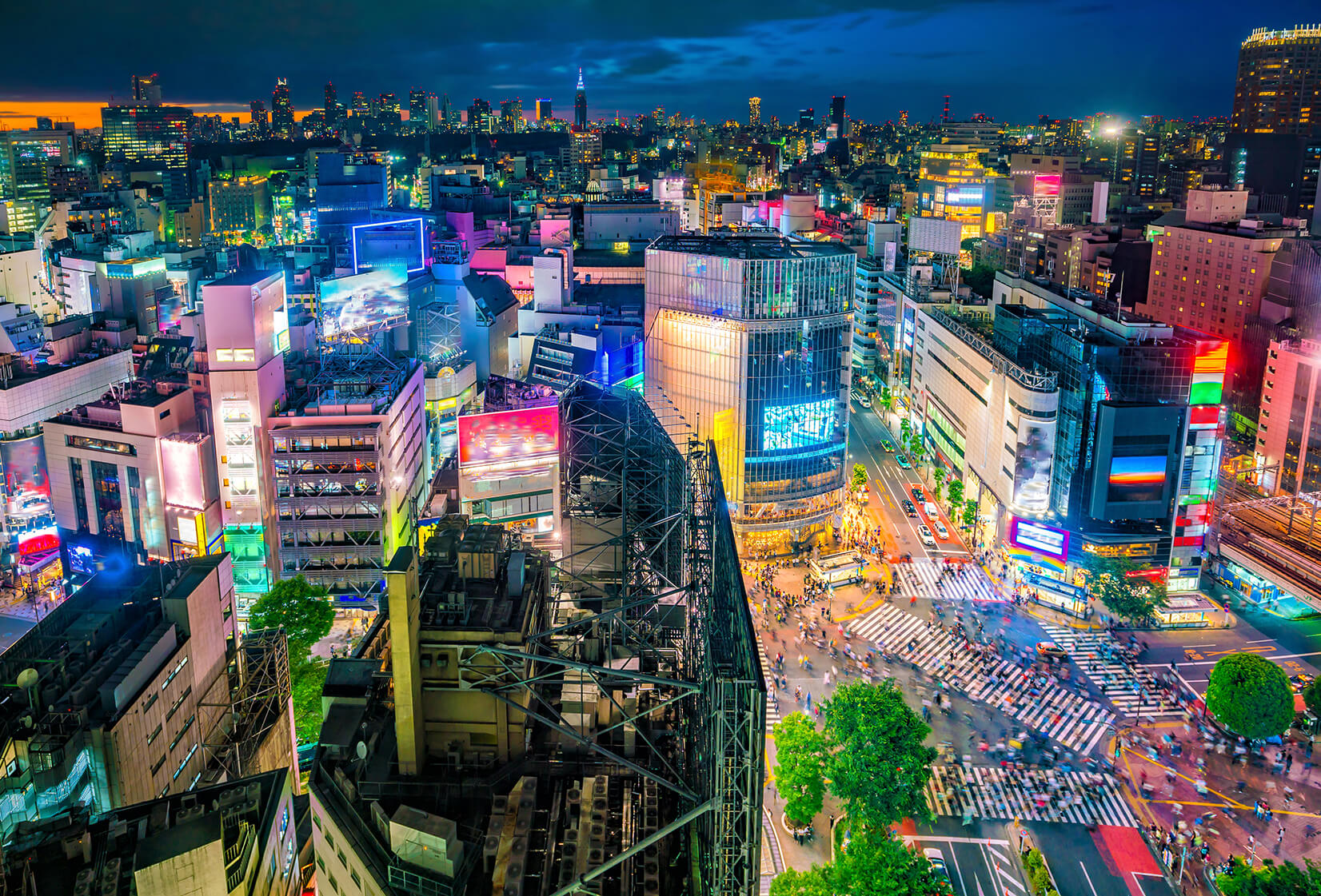 Navigating Tokyo Nightlife | Motto Japan Media - Japanese Culture